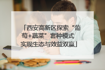 西安高新区探索“葡萄+蔬菜”套种模式 实现生态与效益双赢